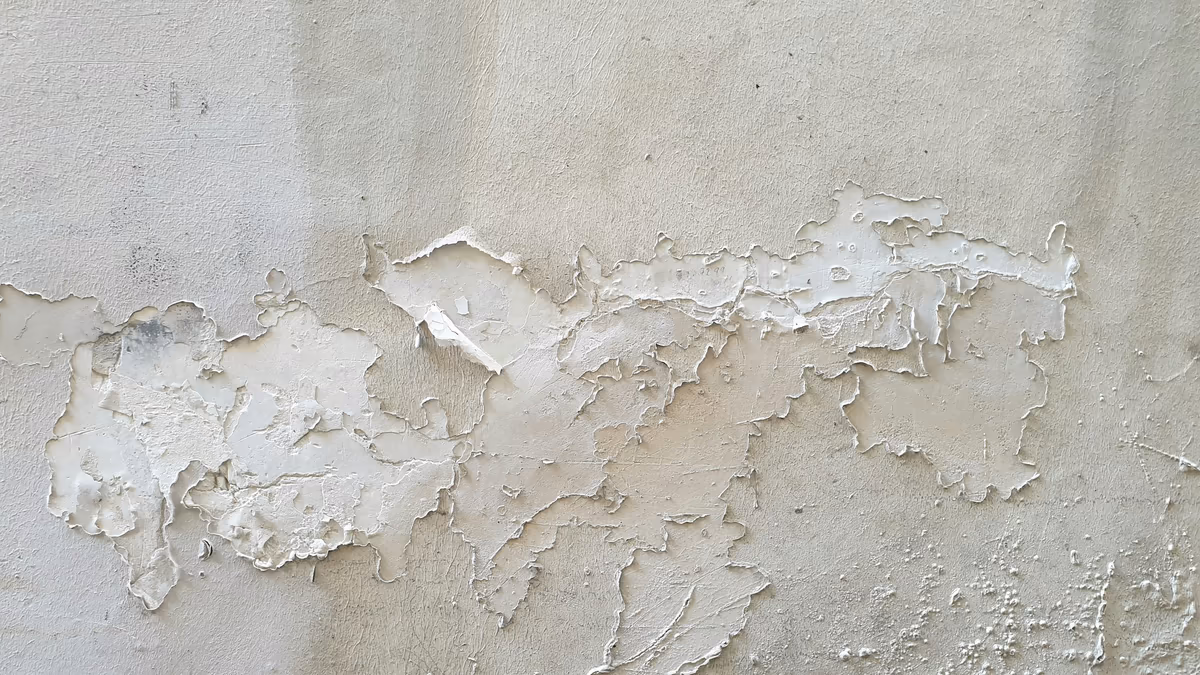 Peinture blanche cloquée et soulevée par plaques sur un mur enduit, écailles qui se détachent en laissant le support à nu