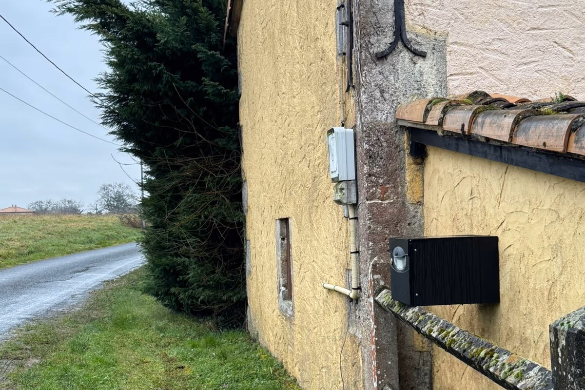 Grand conifère dense planté au ras du pignon enduit d'une maison ancienne en pierre, en bordure d'un chemin rural