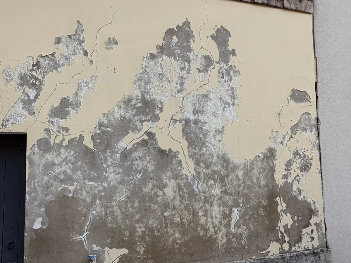 Mur enduit dont le revêtement clair s'est détaché par larges plaques, laissant voir le support gris parcouru de fissures ramifiées