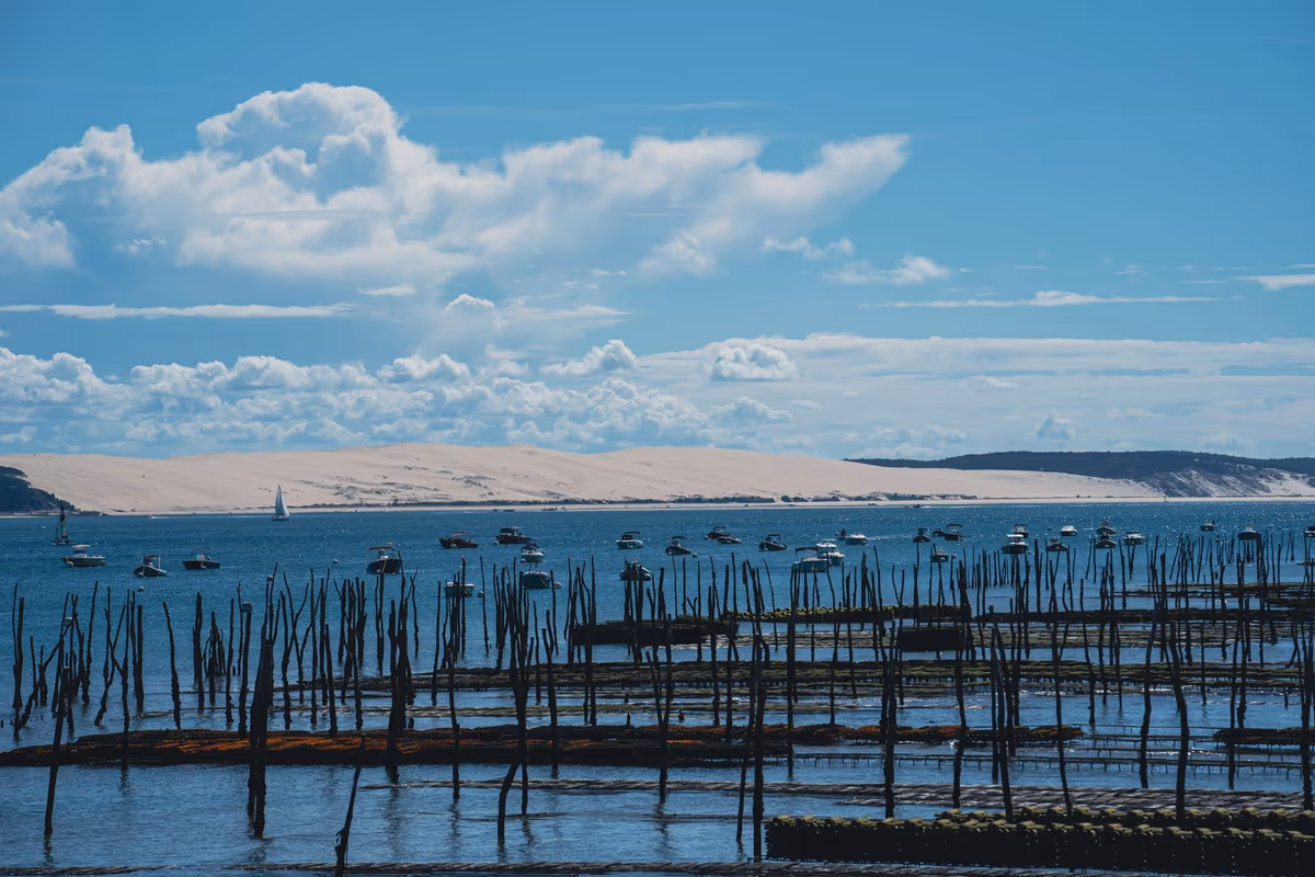 Parcs à huîtres et pignots de bois émergeant à marée basse sur l'estran du Bassin d'Arcachon, cordon dunaire de sable clair en arrière-plan