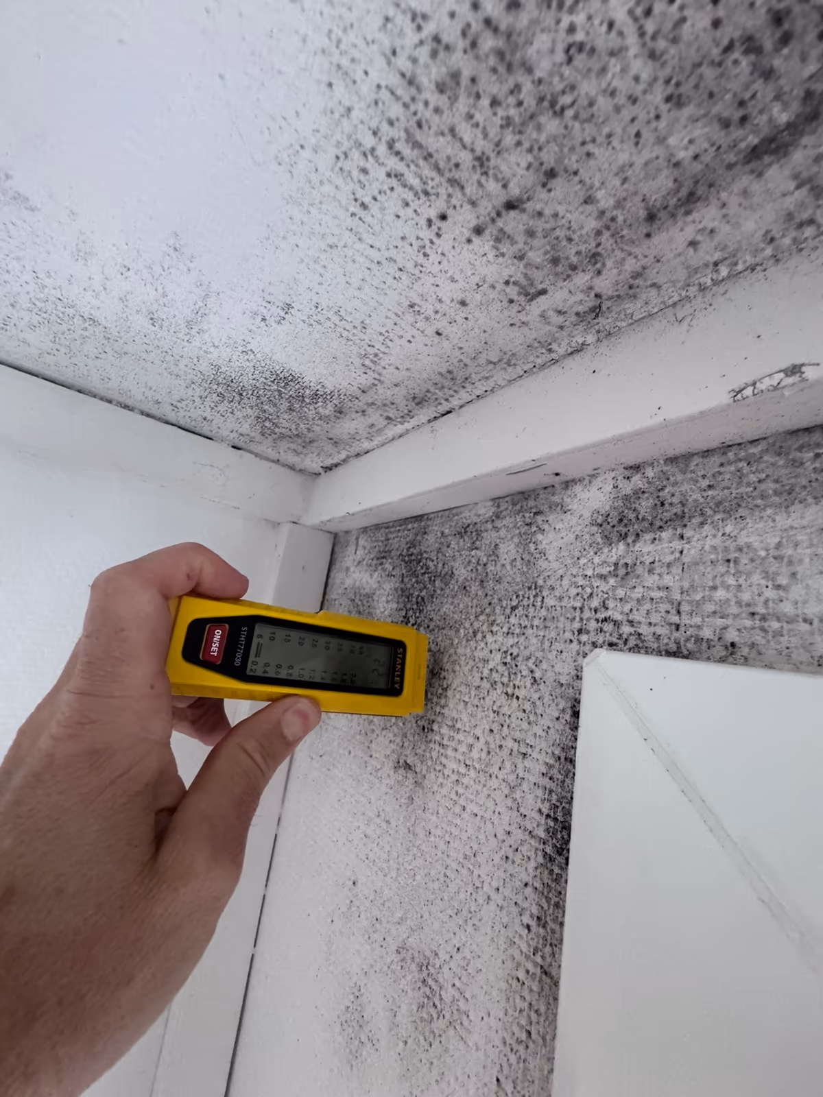 Humidimètre appliqué dans un angle de mur et de plafond couverts d'un semis de points noirs de moisissures, au-dessus d'un encadrement de fenêtre