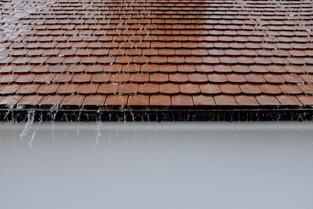 Pluie battante sur une couverture en tuiles plates de terre cuite, eau ruisselant en filets le long des rangs et débordant de la gouttière en égout de toit