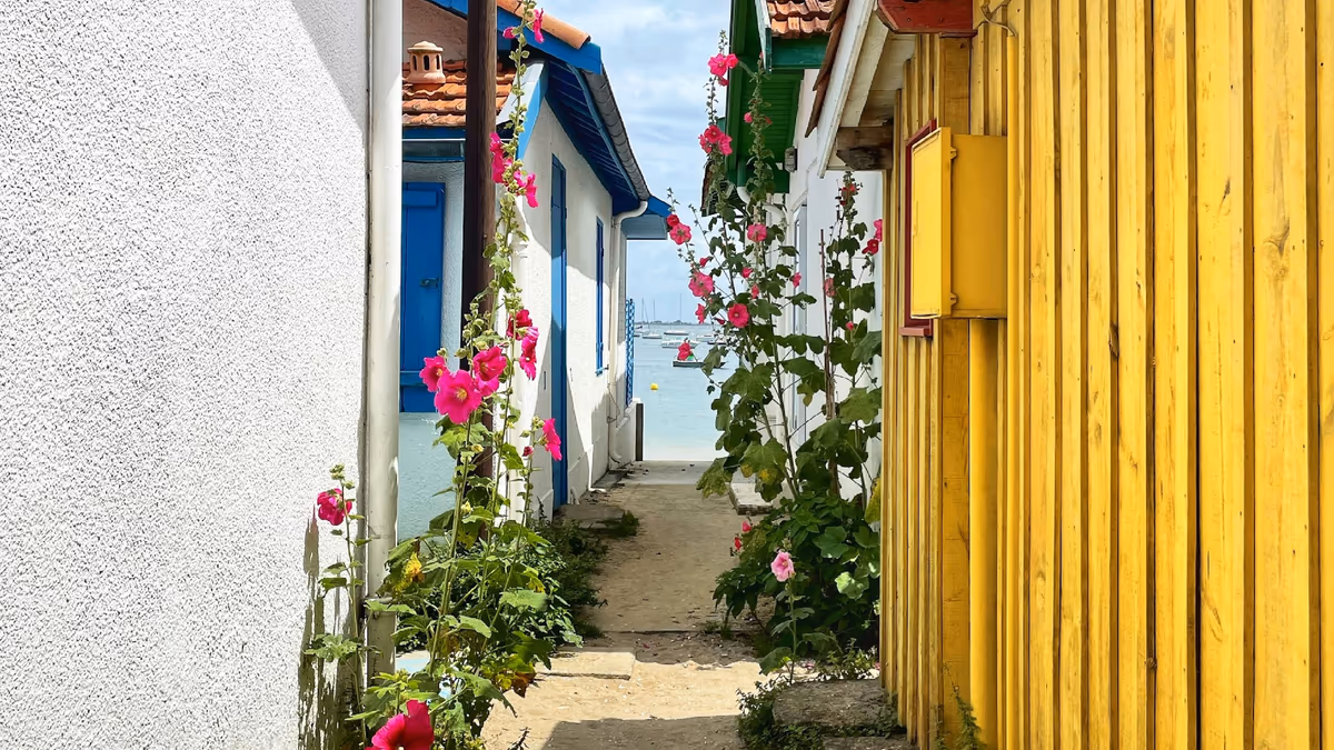 Ruelle de sable au Cap-Ferret : bardage bois à lames verticales peint en jaune, roses trémières au pied des façades, le Bassin d'Arcachon au bout du passage