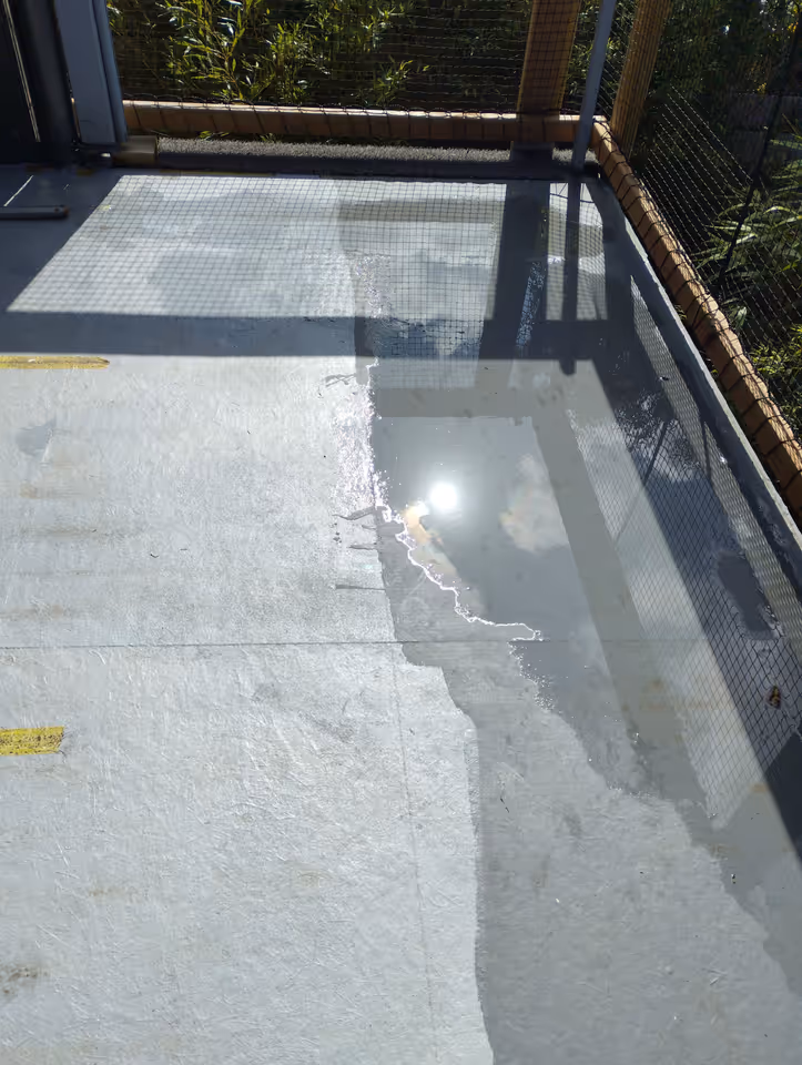 Eau stagnante sur la membrane d'une toiture-terrasse faute de pente suffisante